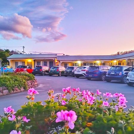 Wintersun Gardens Motel Бичено Экстерьер фото